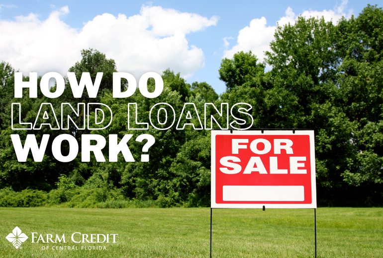 How Do Land Loans Work in Florida? Farm Credit of Central Florida